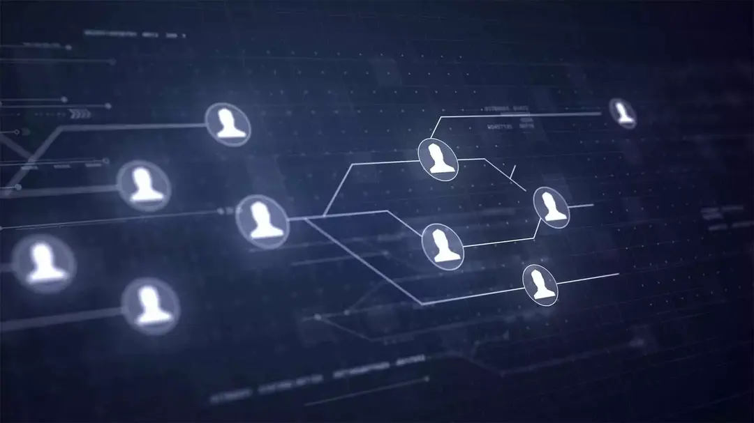 Imagem ilustrativa deum organograma